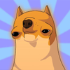 $DERP Derp Inu