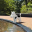 $Clarus Clarus The DogCow