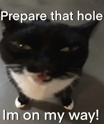 image from pump.fun