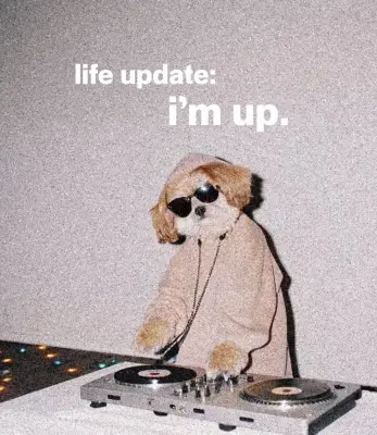 image from pump.fun