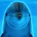 $Gemma DolphinGemma