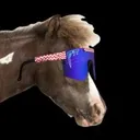 $KH KetHorse