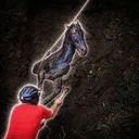 $Horse The Miracle Horse