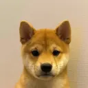 $Mochi Mochi
