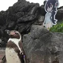 $grape Grape-Kun