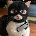 $BOB Crime Cat