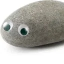 $ROCK Pet Rock