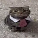 $bizcat bizcat