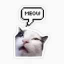 $MEOW MeowXP