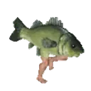 $rush this fish is running