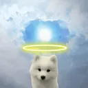 $HOPE Hold Onto Positive Energy