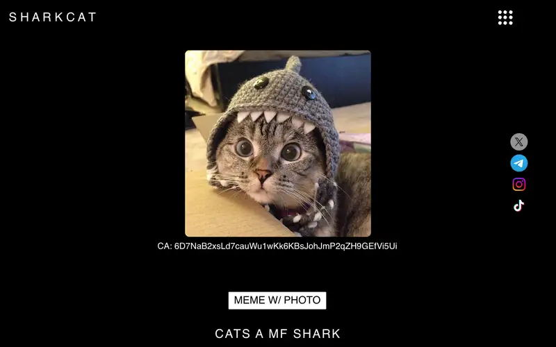 sharkcatsolana.org on Oct 31, 2024