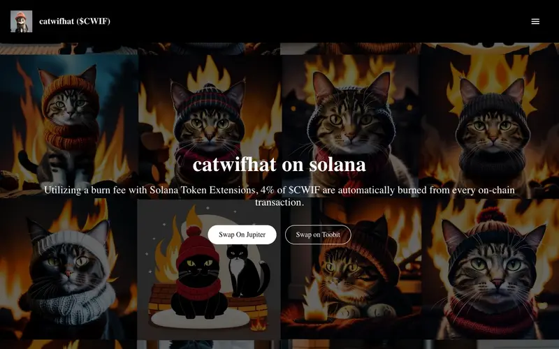 catwifhatsolana.com on Feb 5, 2024