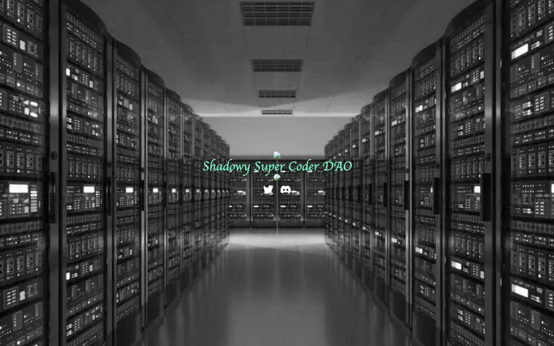 shadowysupercoderdao.com on Nov 3, 2021