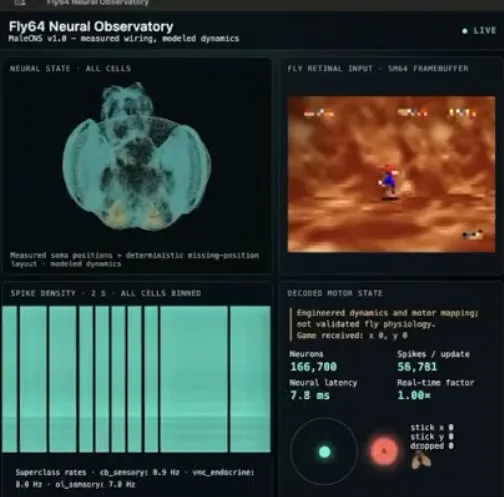 X post by @HamsterTamer90